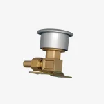 Bio Electric Scooter