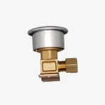 Bio Electric Scooter