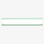 Bio Electric Scooter