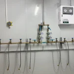 Bio Electric Scooter