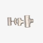 Bio Electric Scooter