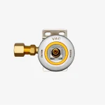 Bio Electric Scooter