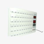 Bio Electric Scooter